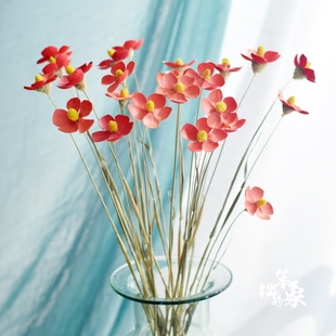 紫罗兰蝴蝶花干花花束真花艺术客厅装 饰品拍摄道具材料手工永生花