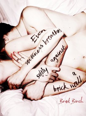 【预售】Even Stillness Breathes Softly Against a Brick Wall