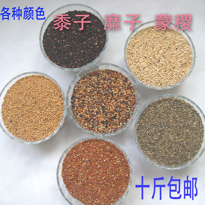 黍子糜子蒙稷红黑黄五色黍稷良良 防褥疮坐垫用10斤包邮一件一斤