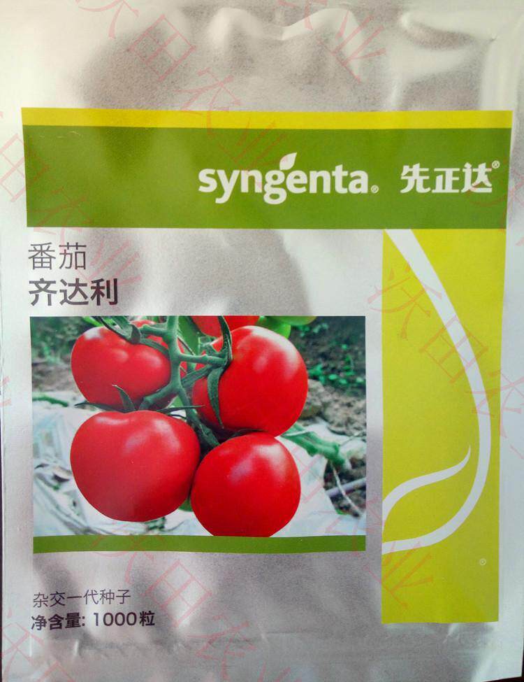 番茄西红柿种子大红果型高产抗病种子1000粒先正达齐达利蔬菜种子