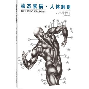 动态素描. 人体解剖