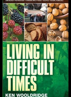 【预售】Living in Difficult Times