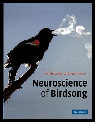 美国库房发货，通常付款后5-8周到货！