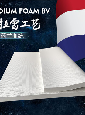 泰国马来西亚越南柬埔寨印尼菲律宾迪拜老挝缅甸荷兰进口乳胶床垫