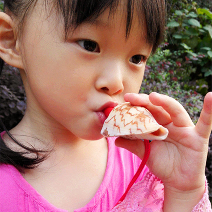 特价天然贝壳海螺小山水螺螺号可以吹响的螺号