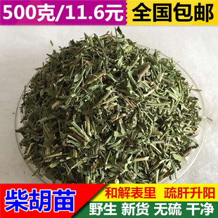 新货 中药材精选柴胡苗500克 费春柴胡 无硫香柴胡苗 免邮 竹叶柴胡苗