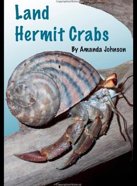 【预售】Land Hermit Crabs
