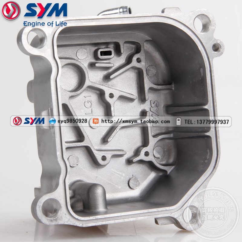 XS150T-8三阳机车气缸盖