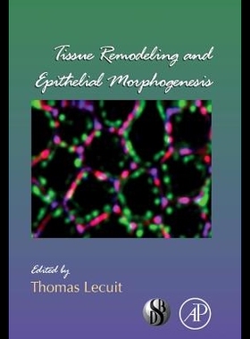 【预售】Tissue Remodeling and Epithelial Morphogenesis