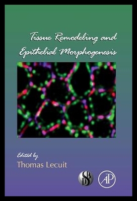 【预售】Tissue Remodeling and Epithelial Morphogenesis