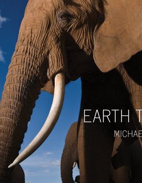 【预订】Earth to Sky: Among Africa's Elephan...