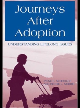 【预售】Journeys After Adoption: Understanding Lifelong I