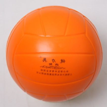 Ballon de volley - Ref 2016748 Image 1