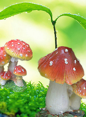 树脂苔藓微景观制作精品园艺摆件