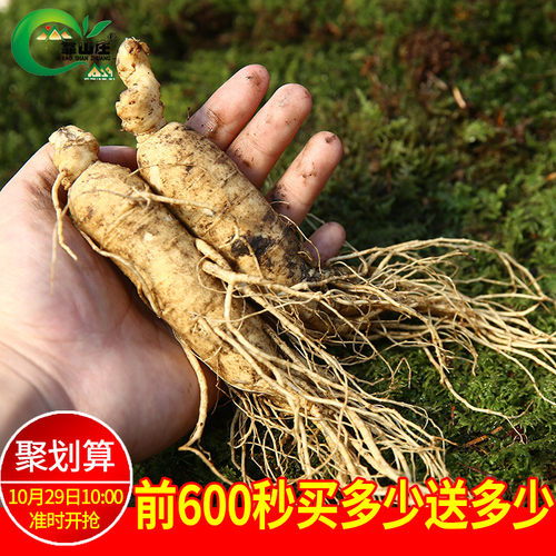 现挖现卖 长白山鲜人参50g*2支