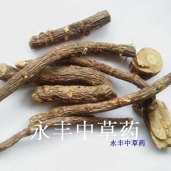锦鸡儿根 土黄芪 金雀花 金桔梅 干品切片