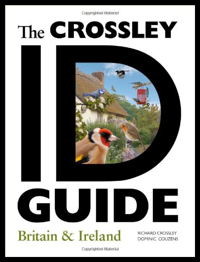 美国库房发货，通常付款后5-8周到货！