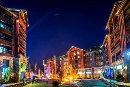 吉林万科松花湖度假区青山公寓 吉林万科松花湖度假区青山公寓预订 电话 地址 飞猪酒店