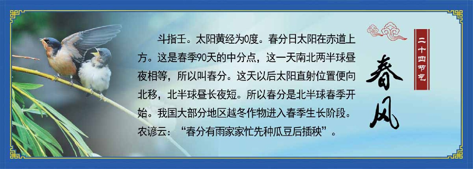 761海报印制展板写真喷绘481二十四24节气介绍春分