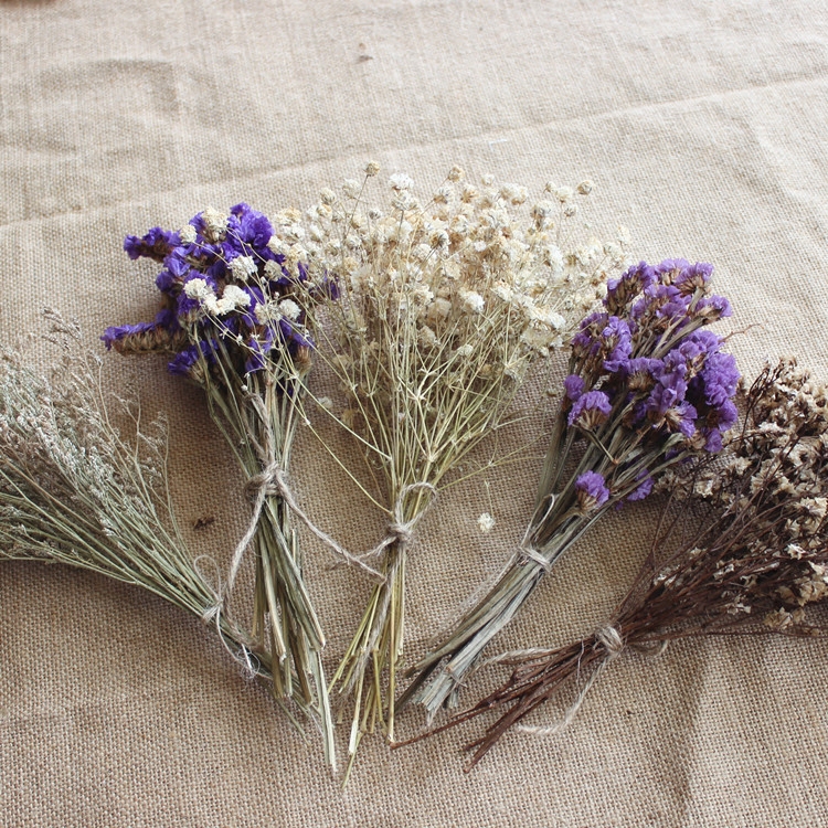 diy网红礼物勿忘我迷你天然干花