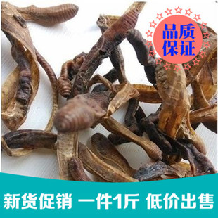 整条广地龙干 臭蚯蚓 黑蚯蚓 鱼饵粉500克中药材正品野生 磨粉