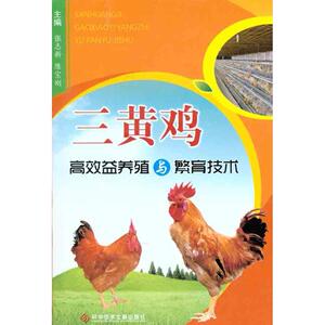 三黄鸡高效益养殖与繁育技术 正版书籍 新华书店旗舰店文轩官网 科学技术文献出版社