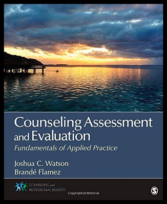 【预售】Counseling Assessment and Evaluation: Fundamental