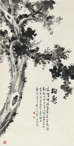 艺术微喷 黄君璧 柏寿 30x59厘米