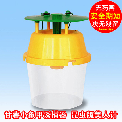 甘薯小象甲虫诱捕器 甘薯小象甲信息诱芯 昆虫信息素 昆虫性诱剂