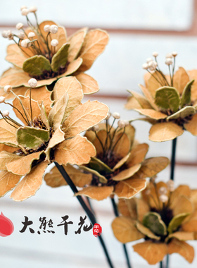 人气妃子笑天然干花包装饰