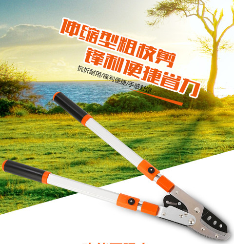 粗枝剪大力高空剪强力园林工具