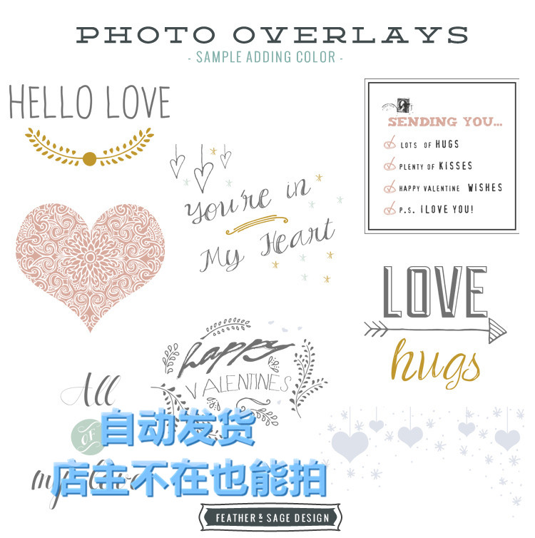 情人节Valentine系列羽毛爱心字符 PS设计PNG免扣素材 自动发货