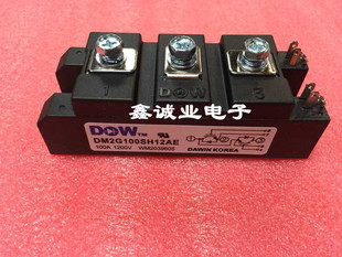 DM2G100SH12AE MPMB100B120RH 全新大卫 电焊机IGBT模块100A1200V