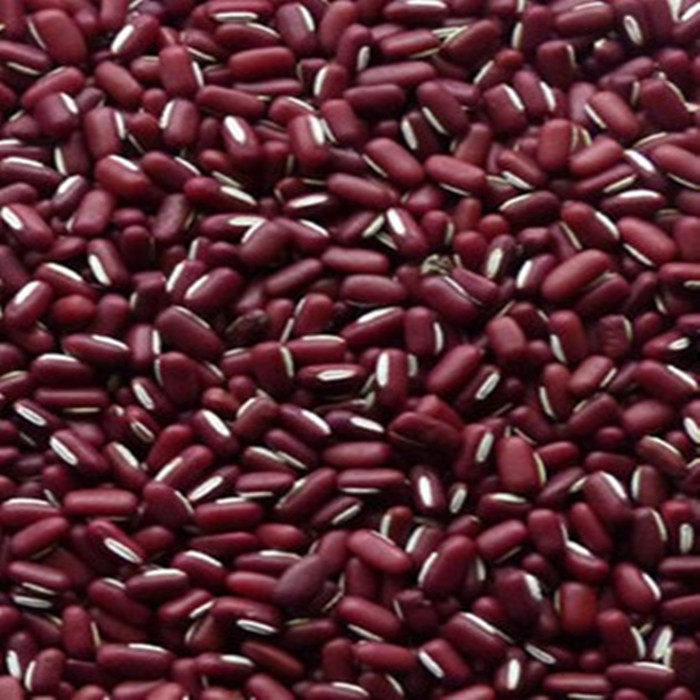 农家赤小豆  赤小豆长粒小赤豆  非红豆 500克