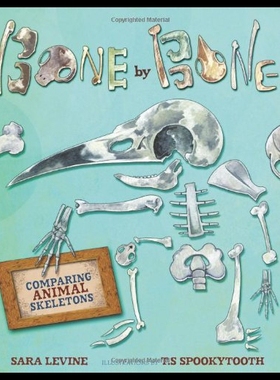 【预售】Bone by Bone: Comparing Animal Skeletons