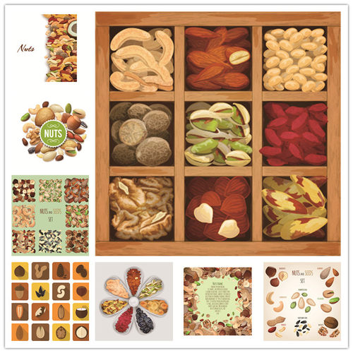 [563]AI矢量设计素材 坚果食物图标花生开心果核桃腰果瓜子icons