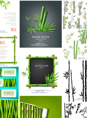 A1572矢量竹子图案插画背景banner边框 AI设计素材
