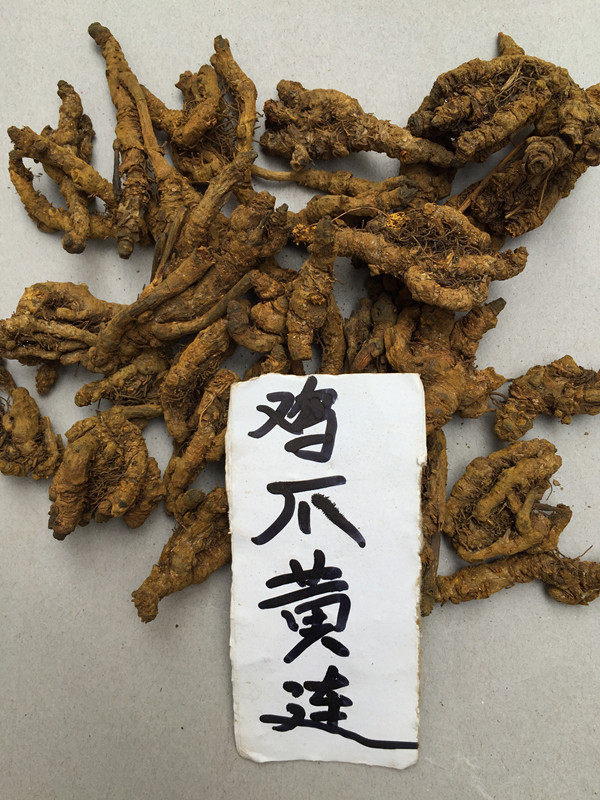中药材正品野生黄连黄莲鸡爪连鸡爪黄连川黄连