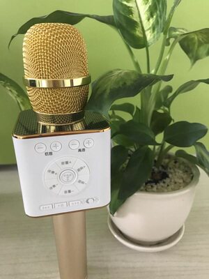 途讯 04 手机蓝牙无线麦克风全民k歌神器话筒儿童掌上KTV神麦