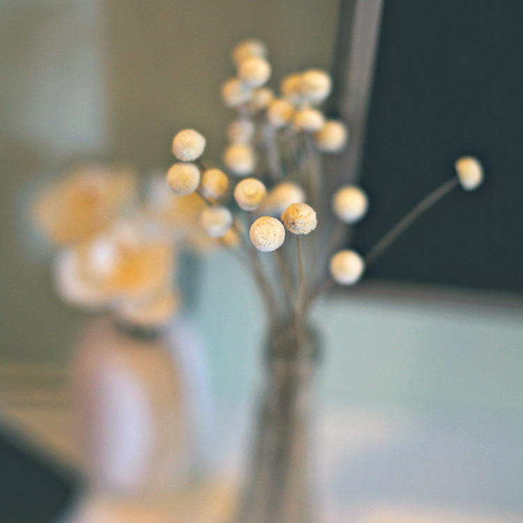 zakka天然植物家居装饰diy干花