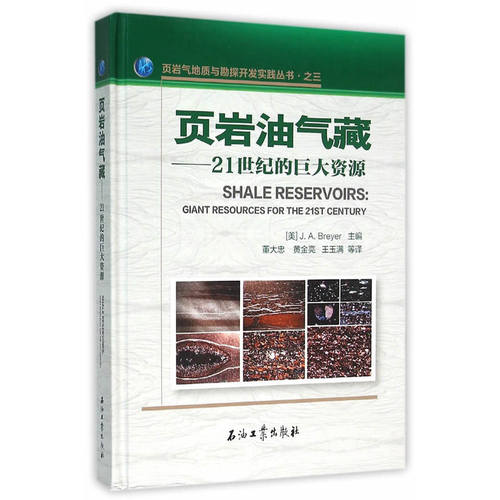 页岩油气藏