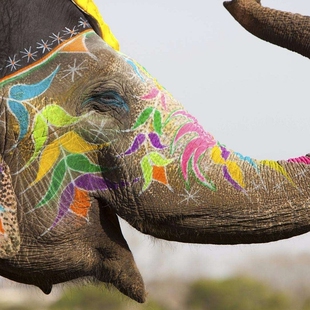 版纳接站西双版纳5天四晚纯玩自由行 家庭亲子高档酒店赠送接送机