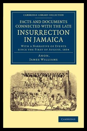 美国库房发货，通常付款后5-8周到货！