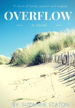 【预售】Overflow