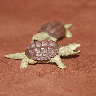 美国正品safari 仿真动物模型玩具 野生两栖动物 乌龟 大鳄龟