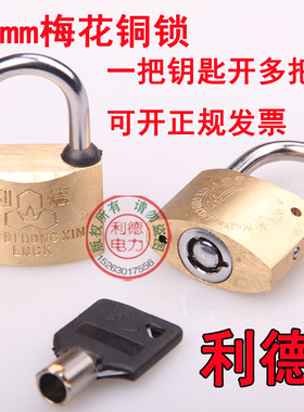 电力表箱锁 电表箱锁 通开挂锁 物业锁 通开通用钥匙利德铜锁防锈
