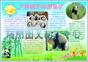 大熊猫种群现状电子小报成品保护稀有动物电脑手抄报模板报951