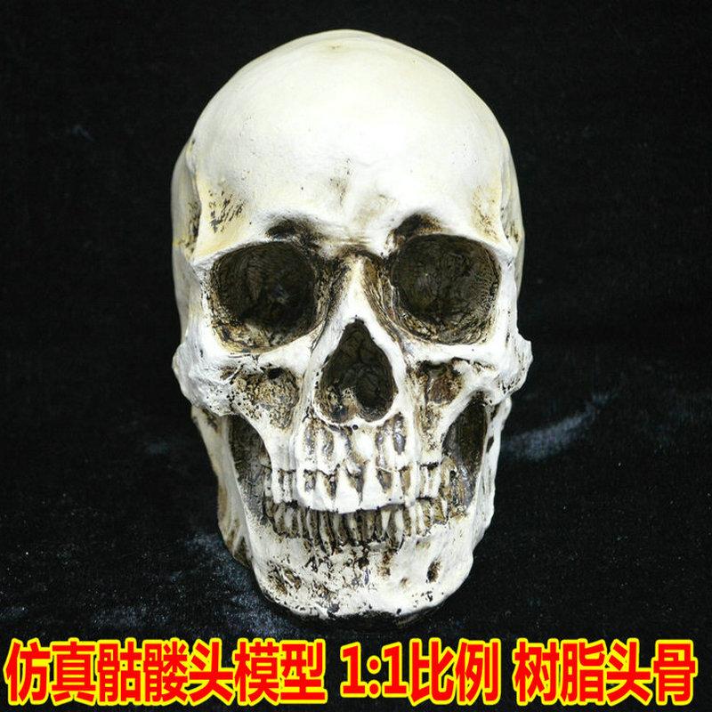 恐怖万圣节头骨道具恐怖骷髅头头骨骨骼模型头骨树脂骷髅头模型