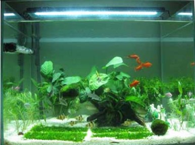 LED水族照明灯水草灯支架灯