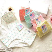 Slip jeunesse simple en coton - Ref 641293 Image 9